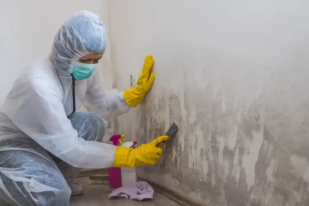 water damage restoration service Harter Heights